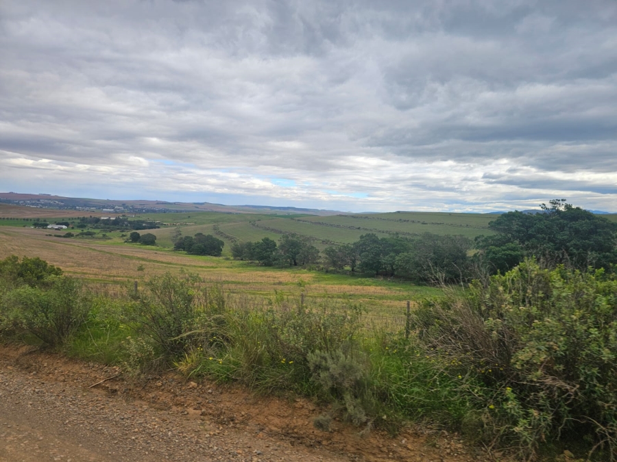 4 Bedroom Property for Sale in Riversdale Rural Western Cape